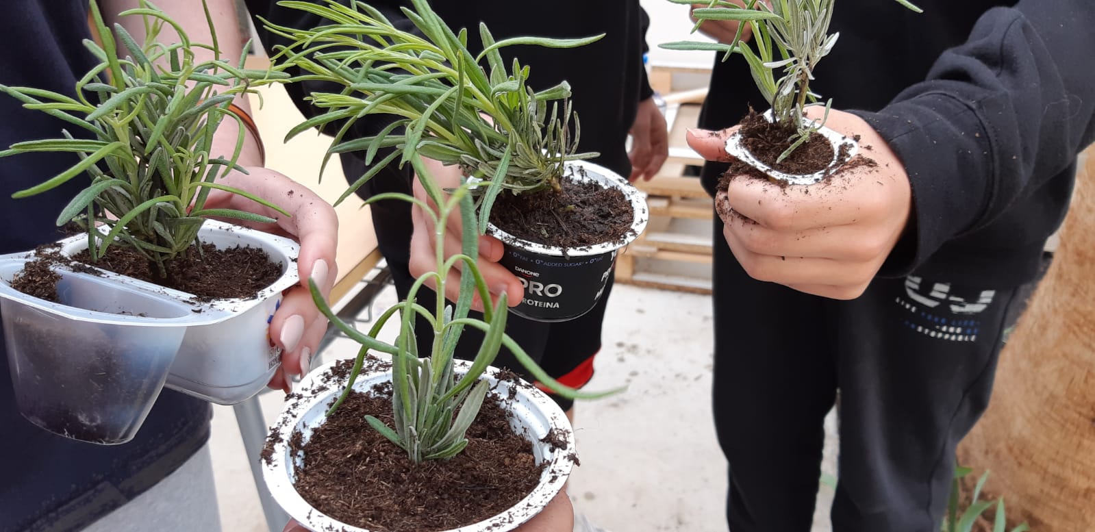 Escuela Agroecolgica de Alovera y proyecto educativo con centros escolares